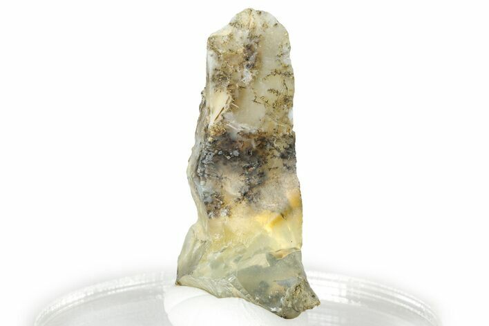 Rough Oregon Fire Opal #330520